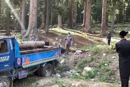 جنگلات میں آگ لگانے اور درختوں کی غیرقانونی کٹائی کی سیٹلائٹ نگرانی کا آغاز