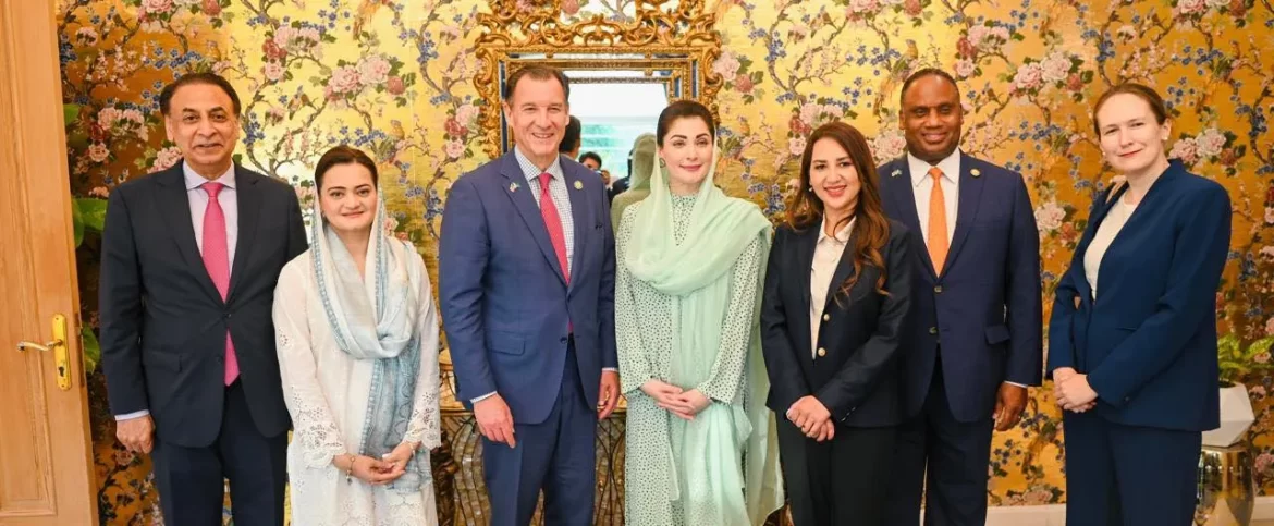 وزیراعلیٰ پنجاب سے امریکی کانگریس کے وفد کی ملاقات، سرمایہ کاری کے فروغ پر اتفاق