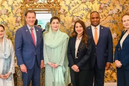 وزیراعلیٰ پنجاب سے امریکی کانگریس کے وفد کی ملاقات، سرمایہ کاری کے فروغ پر اتفاق