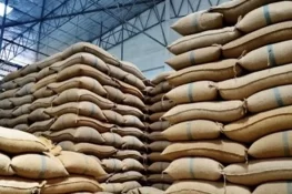 گندم کی بوریوں کی خردبرد: نئے اسکینڈل سامنے آگئے