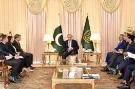 وزیر اعظم شہباز شریف سے امریکی وفد کی ملاقات، معدنی شعبے میں سرمایہ کاری پر تبادلہ خیال