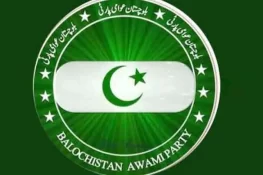 بلوچستان عوامی پارٹی کا صوبے بھر میں عوامی رابطہ مہم اور تنظیم سازی کا فیصلہ