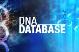 پنجاب میں ڈی این اے کا مرکزی ڈیٹا بیس بنانے کا فیصلہ