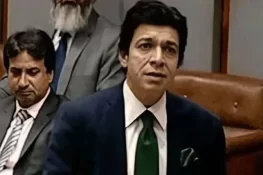 پاکستان نے تمام بھارتی ویب سائٹس بلاک کردی، فیصل واوڈا