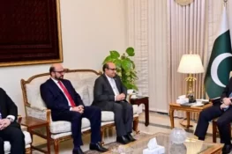 وزیراعظم سے آئی ٹی شعبے کے سرمایہ کاروں کی ملاقات