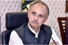 کینالز کے معاملے میں وزیراعظم اور پیپلز پارٹی دونوں برابر کے شریک ہیں، عمر ایوب