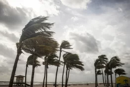 شدید طوفان:50 کلو گرام سے کم وزن والے افراد کو گھر میں رہنے کی ہدایت