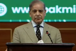 وزیراعظم کی معدنیات کے شعبے میں 60 ممالک کو سرمایہ کاری کی پیشکش