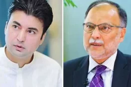 مراد سعید کے خلاف ہرجانہ کیس مؤخر، عدالت نے دوبارہ دلائل طلب کر لیے
