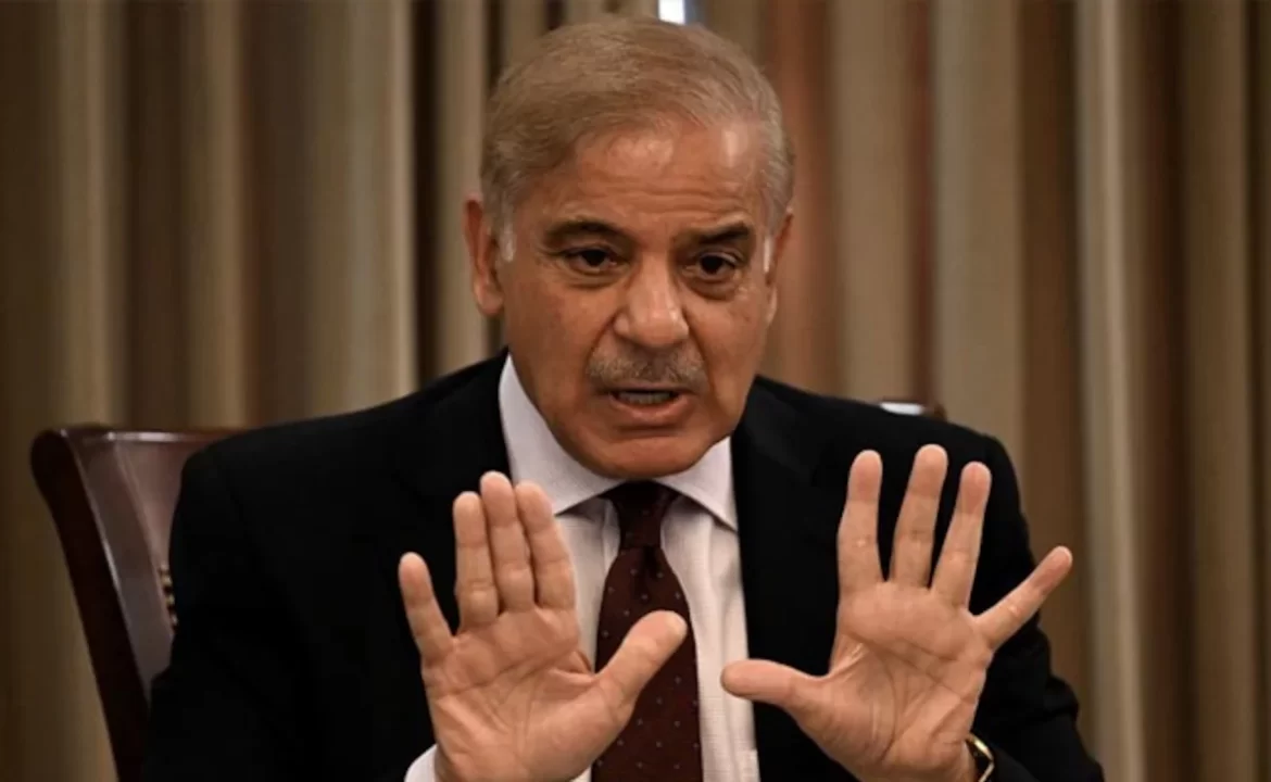 شہباز شریف: بھارت کو اسرائیلی ماہرین اور اسلحہ فراہم کیا گیا