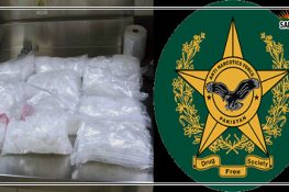 اے این ایف کی کارروائیاں:245 کلو منشیات برآمد، خاتون سمیت 14 افراد زیر حراست