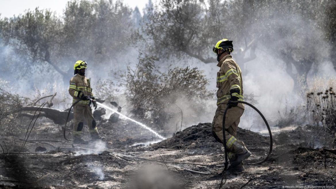 اسرائیل: الطرون جنگلات میں آگ، ایمرجنسی نافذ