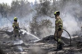 اسرائیل میں ایمرجنسی نافذ، الطرون کے جنگلات میں آگ کی تباہی
