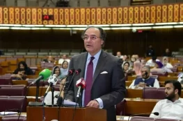 بجٹ میں نچلے طبقے کو ممکنہ حد تک ریلیف دیا، اخراجات کم کرنے کی کوشش کی، وزیر خزانہ