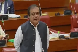 سینیٹ کمیٹی کی تجویز: 12 لاکھ روپے سالانہ آمدنی پر انکم ٹیکس ختم