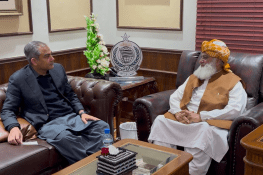 وزیر داخلہ محسن نقوی کی مولانا فضل الرحمان سے ملاقات