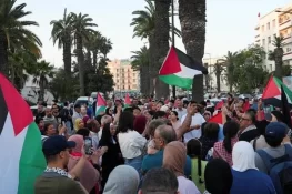 غزہ کی جانب عالمی مارچ سے قبل مصر کی کارروائی، 200 سے زائد فلسطین حامی گرفتار