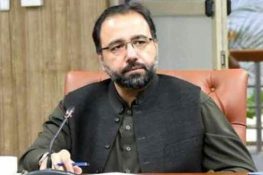 چوہدری سالک حسین کا جنیوا میں انٹرنیشنل لیبر کانفرنس سے خطاب، مزدوروں کے حقوق اور نوجوانوں کی مہارتوں کے فروغ پر پاکستان کے عزم کا اعادہ