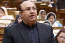 پنجاب کا عوام دوست بجٹ کل پیش کیا جائے گا، کوئی نیا ٹیکس نہیں لگے گا، وزیر خزانہ