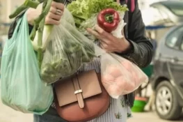 سندھ بھر میں پلاسٹک شاپنگ بیگز پر مکمل پابندی کا نفاذ، خلاف ورزی پر سخت کارروائی کا اعلان