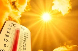 ملک بھر میں شدید گرمی کی لہر، چولستان میں پارہ 48، پانی کا بحران، مویشی ہلاک