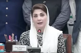 اوورسیز پاکستانیوں کے مسائل ترجیحی بنیادوں پر حل کیے جائیں، وزیراعلیٰ مریم نواز کا حکم