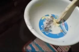 آئسکریم سے چھپکلی نکلنے کا واقعہ، محکمہ صحت متحرک