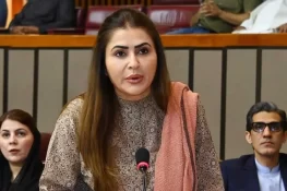 پیپلز پارٹی نے سولر پینل پر ٹیکس مسترد کر دیا، تنخواہوں اور پنشن میں اضافہ ناکافی قرار