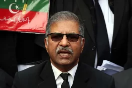 پیکا قانون صحافیوں کیخلاف استعمال ہو رہا ، علی ظفر