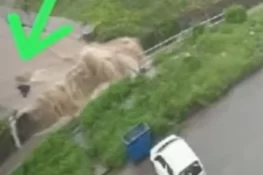 راولپنڈی کی نجی ہاؤسنگ سوسائٹی میں دلخراش واقعہ، باپ بیٹی برساتی نالے میں بہہ گئے