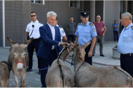 وکیل کا انوکھا احتجاج، پارلیمنٹ کے باہر چار گدھے لا کھڑے کی