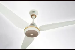 حکومت کا پرانے پنکھوں کی جگہ کم بجلی والے پنکھے لگانے کا فیصلہ