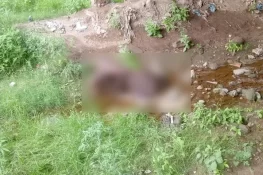 سوہاوہ: ویران مقام سے 30 سالہ خاتون کی تشدد زدہ لاش برآمد