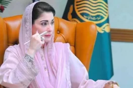 کشمیر کے شہداء نے ثابت کیا زنجیریں، حوصلوں کو قید نہیں کر سکتیں، مریم نواز