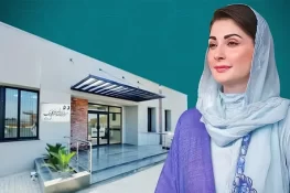 مریم نواز ہیلتھ کلینکس کے لیے 8 الٹراساؤنڈ مشینیں فراہم، احسن اقبال کا بیان