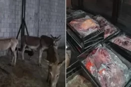 اسلام آباد میں گدھوں کے گوشت کی فروخت، مقدمہ درج، تحقیقاتی کمیٹی تشکیل