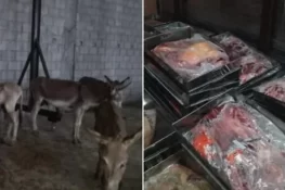 گدھے کے گوشت کی پہچان کا آسان طریقہ، اسلام آباد میں جعلی گوشت فروخت کرنیوالے گروہ بے نقاب