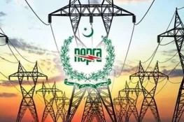 200 یونٹ بجلی کے بعد اضافی بل پر عوامی تشویش، سیکرٹری پاور کا اہم بیان سامنے آ گیا