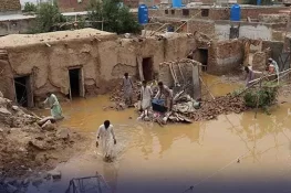 لاہور سمیت پنجاب بھر میں موسلادھار بارشوں کا قہر، 24 افراد جاں بحق، 92 زخمی