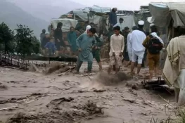 ملک میں بارشوں اور سیلاب سے اموات 657 تک پہنچ گئیں، این ڈی ایم اے