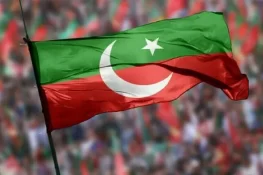 پی ٹی آئی کارکنان پر 14 اگست دھرنے کی منصوبہ بندی کا مقدمہ درج