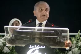 پاکستان میں سب کو سیاست کا حق ہے، بغاوت کا نہیں: وزیراعظم شہباز شریف