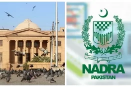 شناختی کارڈ کیس: سندھ ہائیکورٹ کی نادرا حکام پر شدید برہمی