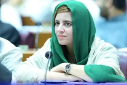 زرتاج گل کی حفاظتی ضمانت منظور