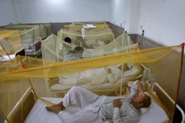 صوابی میں ڈینگی کے کیسز میں اضافہ، 100 سے زائد متاثر