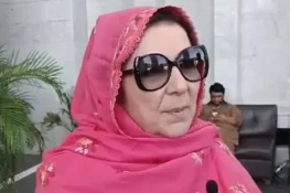 عمران خان کبھی معافی نہیں مانگیں گے، نورین خان