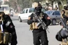 سی سی ڈی کے قیام کے بعد لاہور میں جرائم میں 60 فیصد کمی