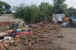 ڈیرہ اسماعیل خان میں طوفان سے تباہی، 8 جاں بحق، 47 زخمی