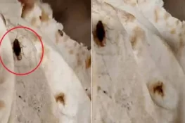 پارلیمنٹ کیفے ٹیریا میں کھانے سے کاکروچ نکلنے کا انکشاف، اسپیکر قومی اسمبلی کا سخت نوٹس