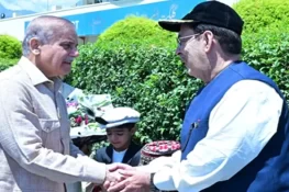 موسمیاتی تبدیلی پاکستان میں تباہی لا رہی ہے، فوری اقدامات ناگزیر ہیں ،شہباز شریف